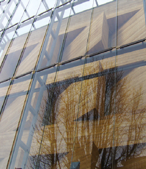 b) Clamped glazing system: Rheinisches Landesmuseum, Bonn, Germany. Architect: Archtektengruppe Stuttgart