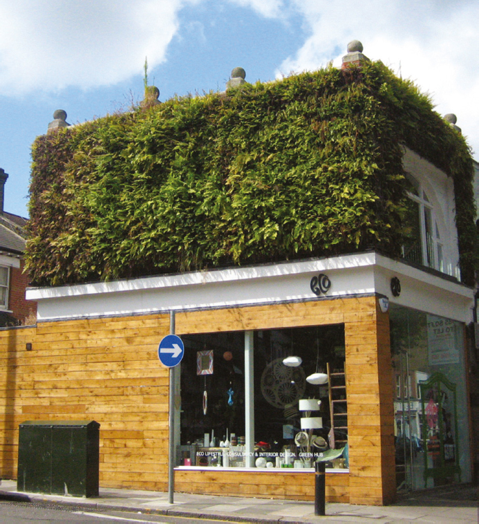 (MCO_01_129) Green wall